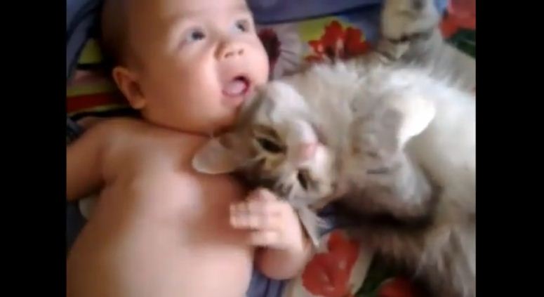 Kociak i niemowlę