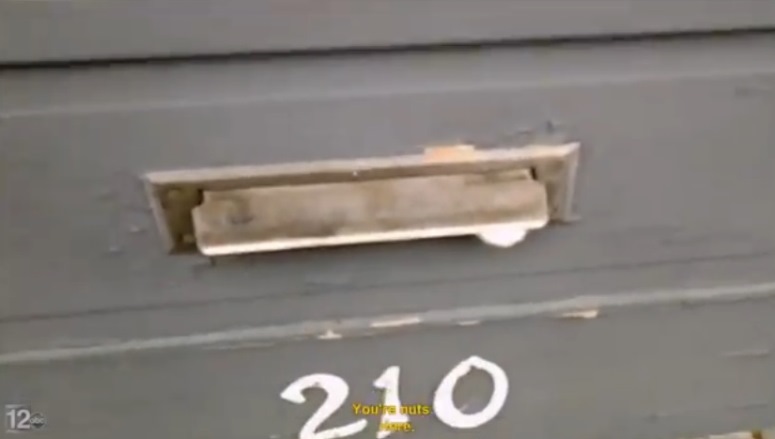 Kot chroni dom przed niechcianą pocztą