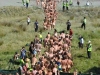 Na plażę wbiegło 745 golasów
