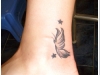 Tatuaże - motyle